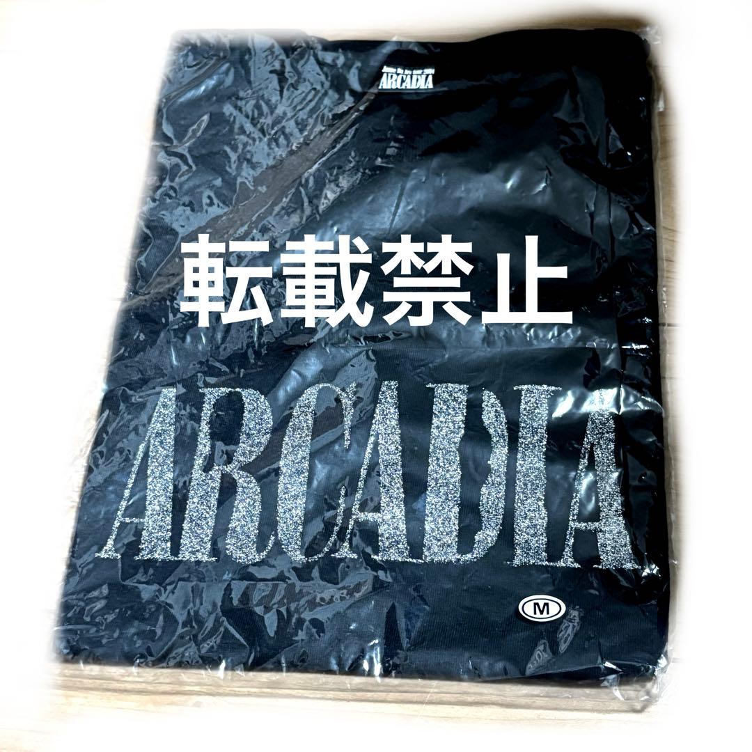 年末セール！未開封 JanneDaArc ARCADIA Tシャツ