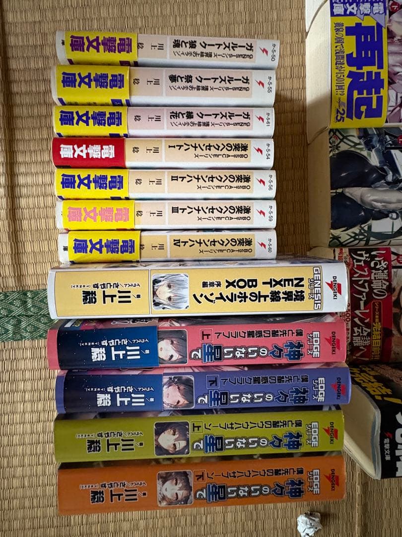 【調整可能】境界線上のホライゾン本編全巻+その他川上稔作品複数