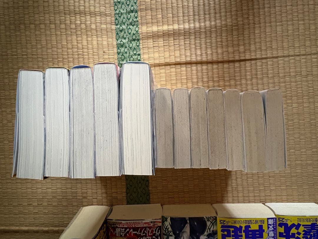 【調整可能】境界線上のホライゾン本編全巻+その他川上稔作品複数