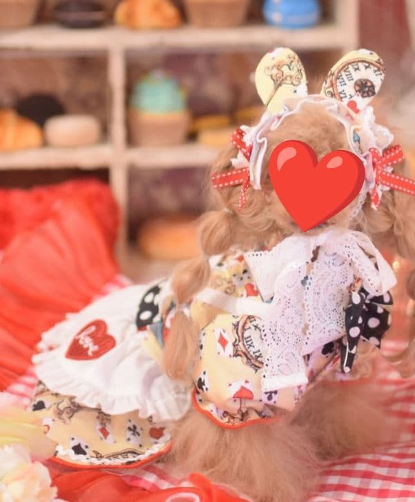 marvel×ピコネ　マルベル　ワンピース