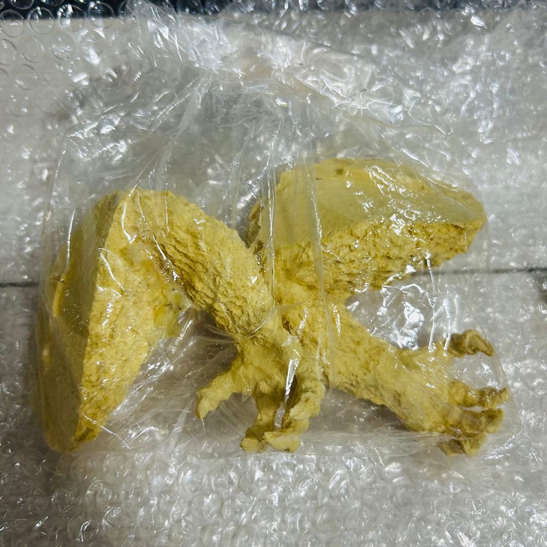 イノウエアーツ 初代ゴジラ 50cm キャスト版 水爆大怪獣東京上陸