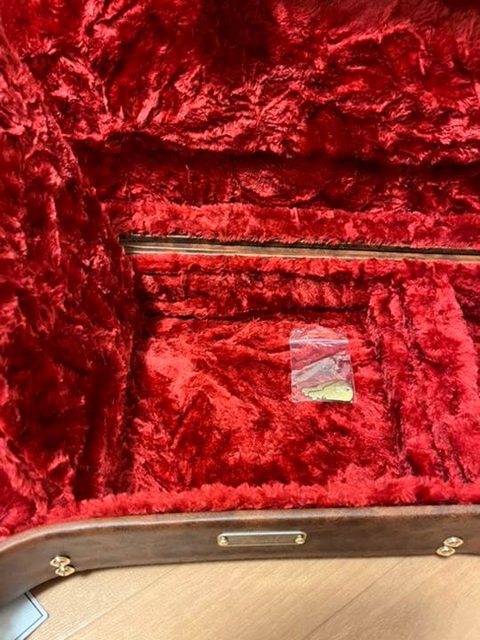 ギター Fender classic POODLE CASE