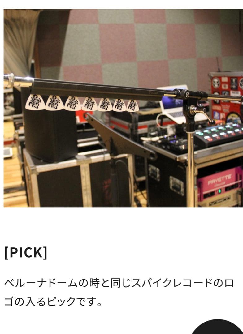 GLAY HISASHI ピックAMEX