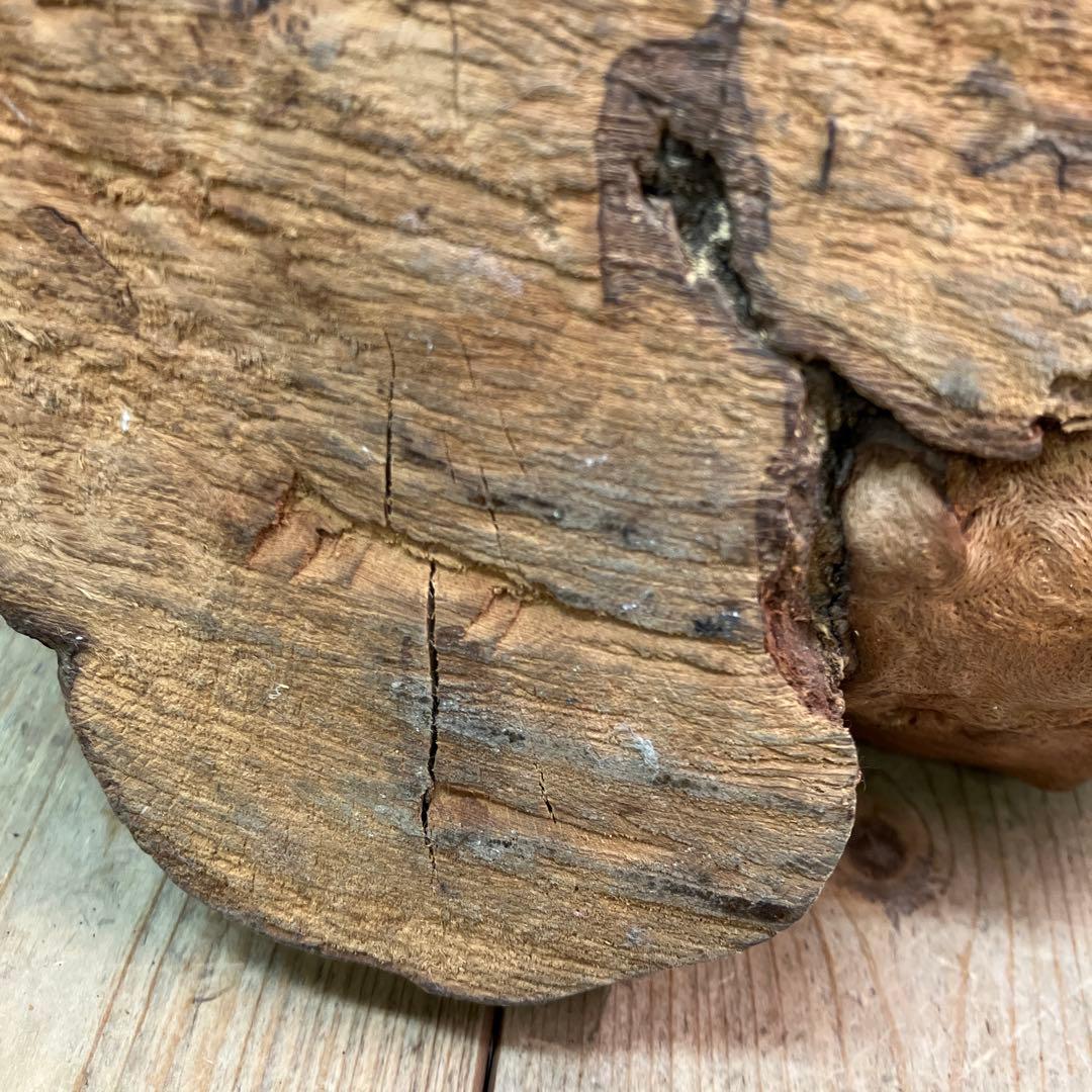 E-4 天然木 銘木 木材 瘤 コブ 根っこ 自然木 木製オブジェ 置物 木工