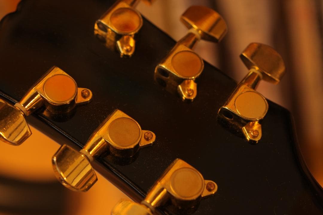 動画ありレスポールカスタムモデル Maison いい音です