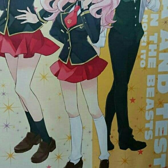 バカとテストと召喚獣 特大タペストリー