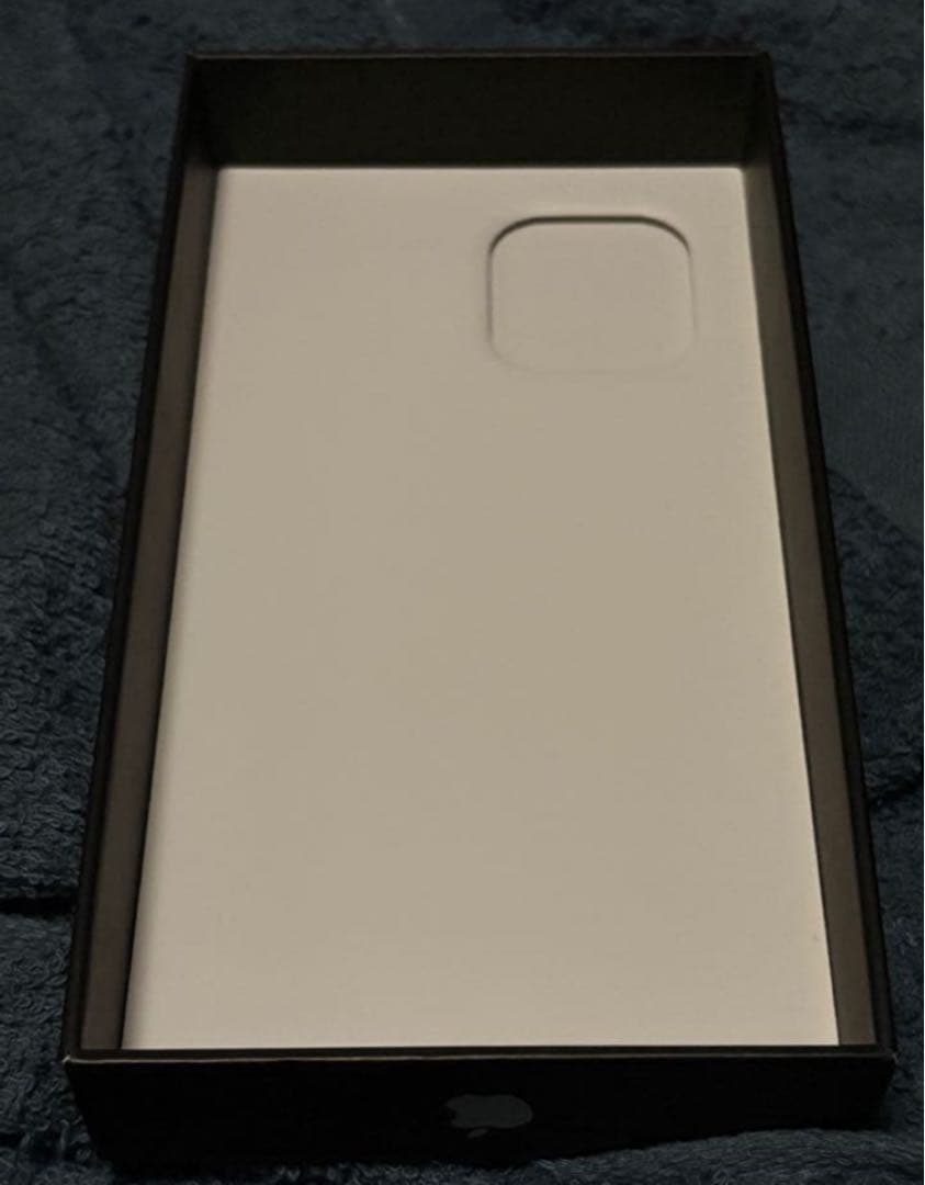 A*e様 used Apple iPhone 12 Pro Max 256GB