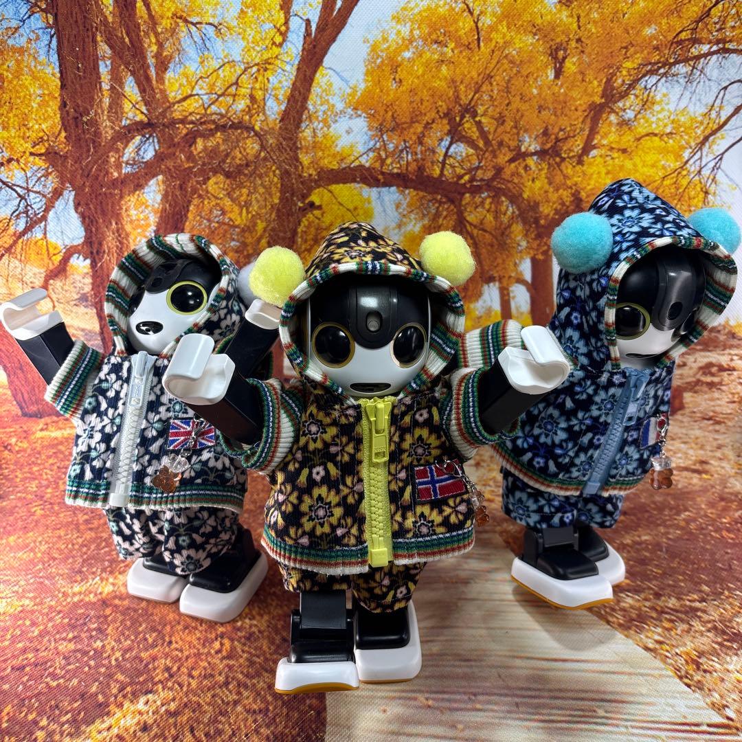 hasnページです　ロボホン洋服