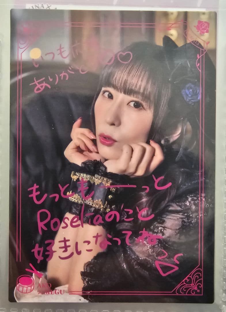 Edel Rose　バンドリ Roselia　バインダーセット