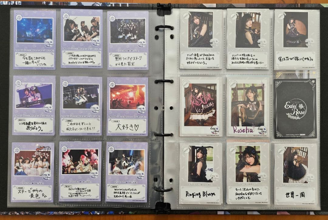 Edel Rose　バンドリ Roselia　バインダーセット