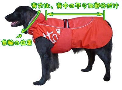 フルッタ ウィンタージャケット