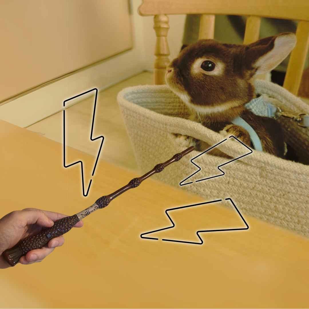 ダンブルドア　杖　炎　火の玉　ハリー　小道具　国内5cm説明付　【残5】