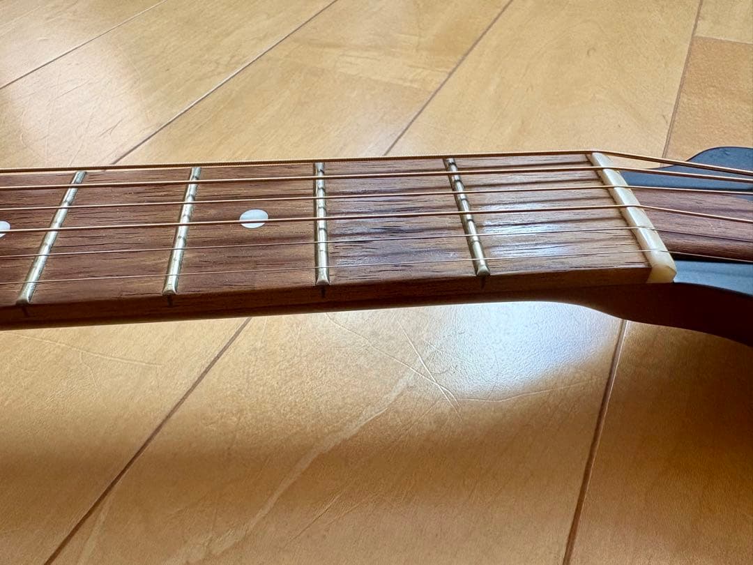 【希少】ESP Char 監修BambooInn-CE バンブーイン エレアコ