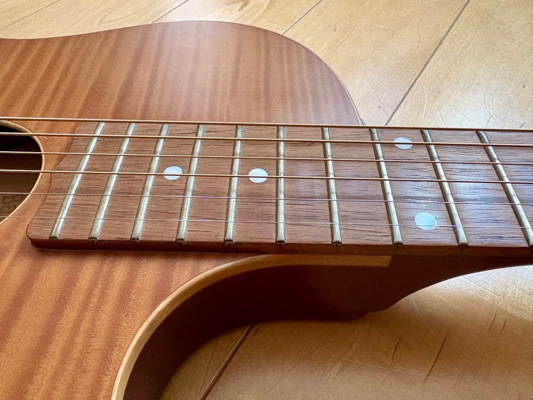 【希少】ESP Char 監修BambooInn-CE バンブーイン エレアコ