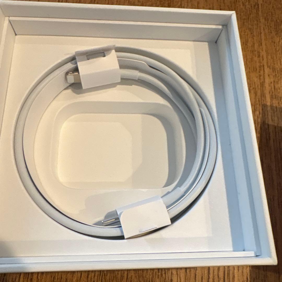 AirPods Pro (第2世代) 本体　Lightning端子