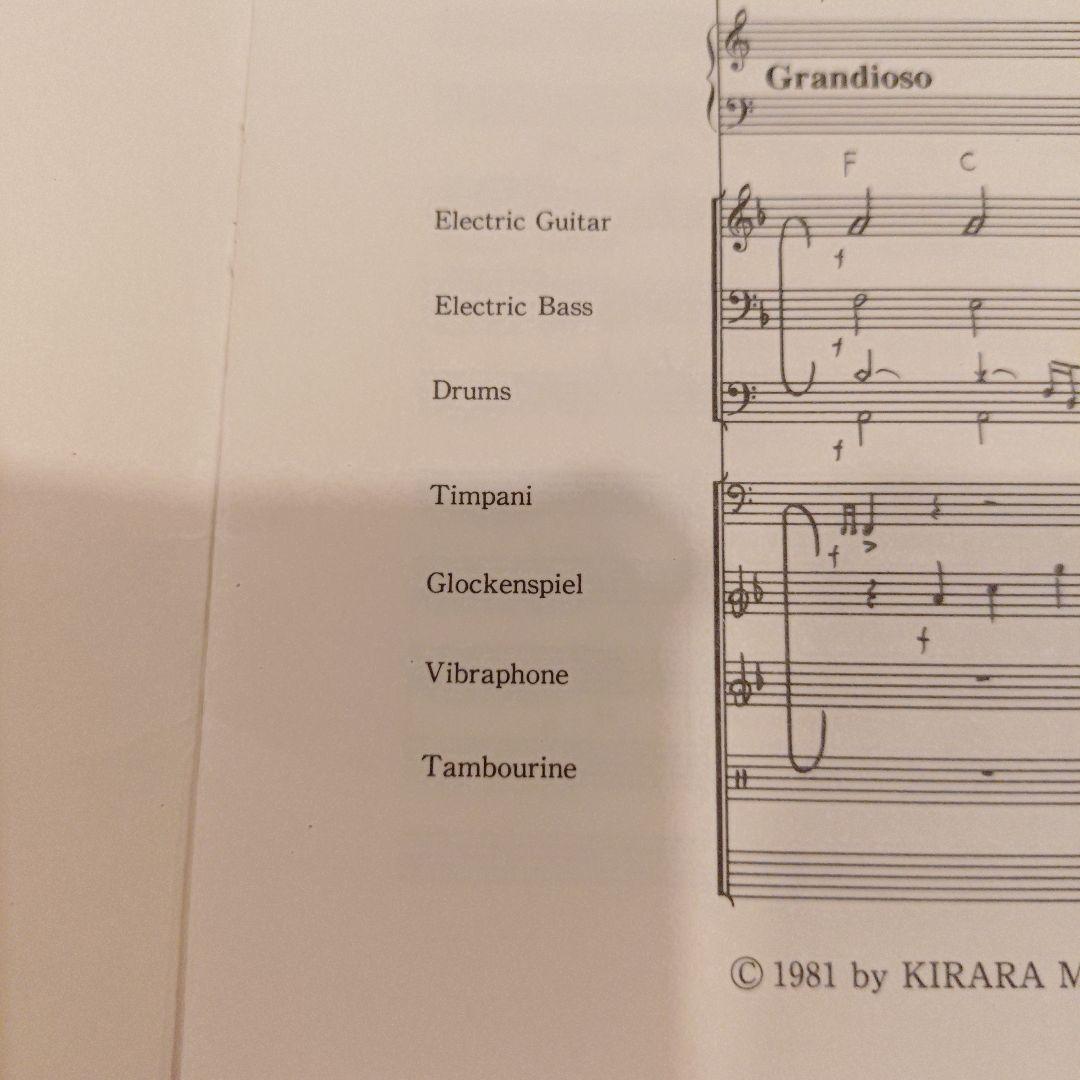 【絶版】ユーミンブラス　守ってあげたい