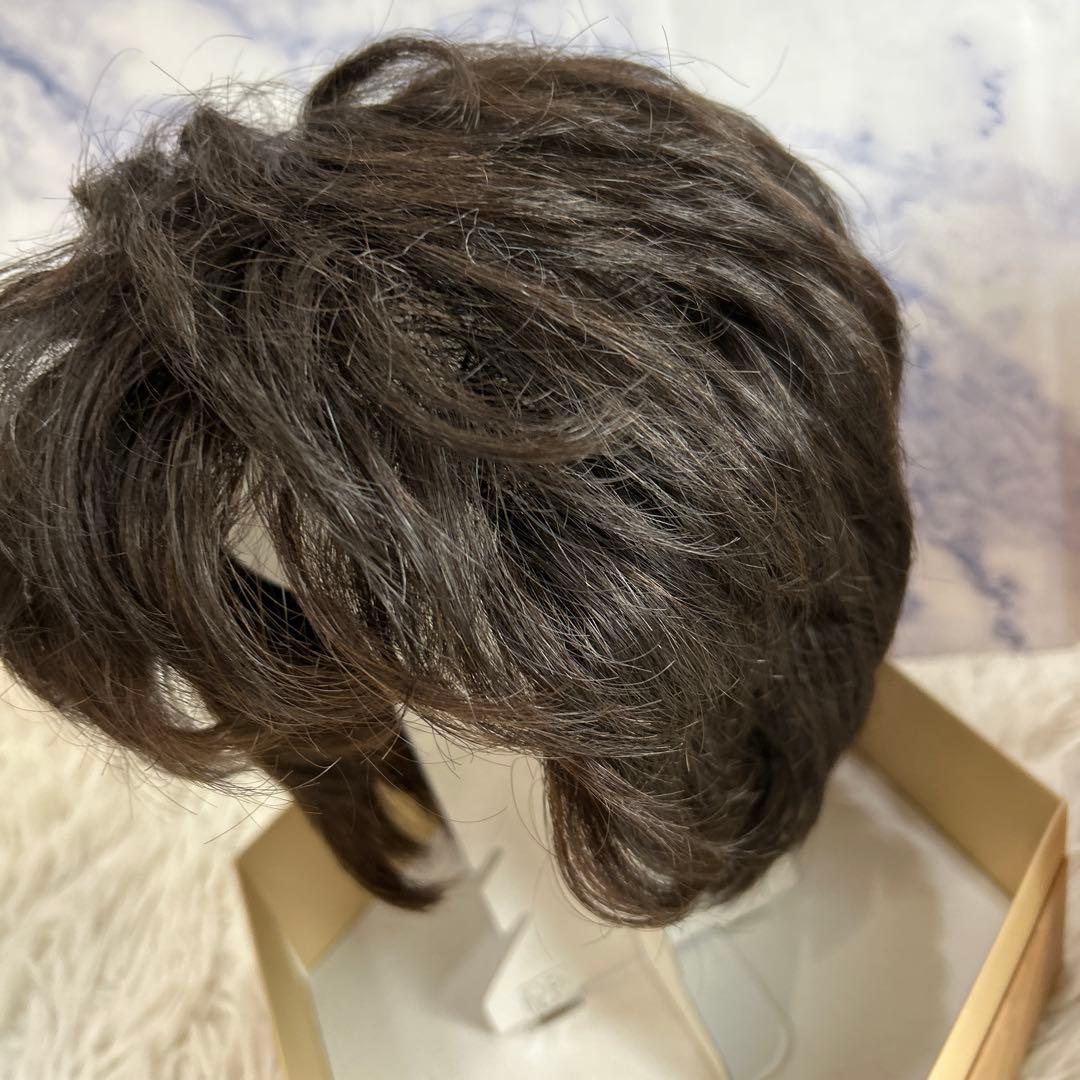 フォンテーヌ　ヴァラン　ナチュラルショートリバース　ウィッグ　VM28 F2B