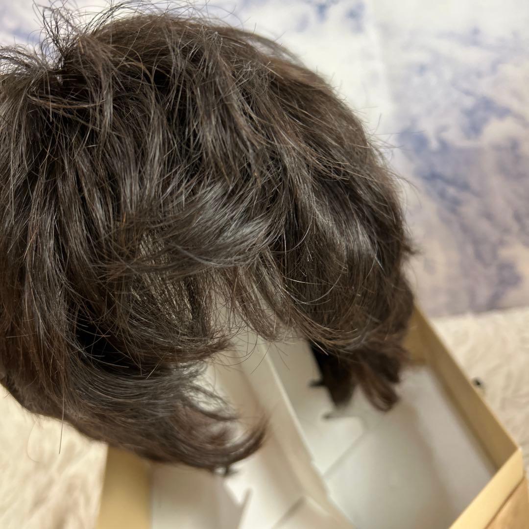 フォンテーヌ　ヴァラン　ナチュラルショートリバース　ウィッグ　VM28 F2B