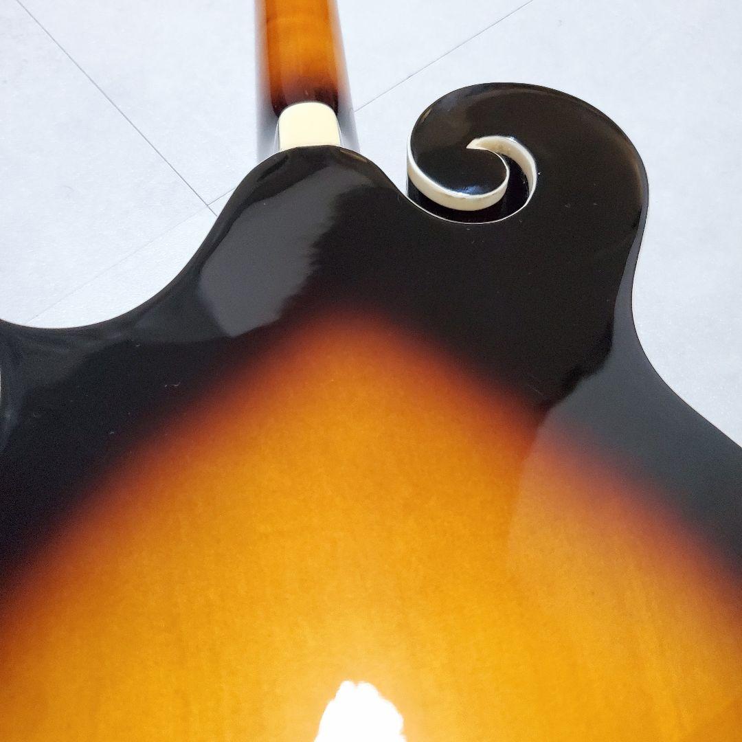 【極美品✨️】ARIA AM-40 フラットマンドリン ハードケース付き