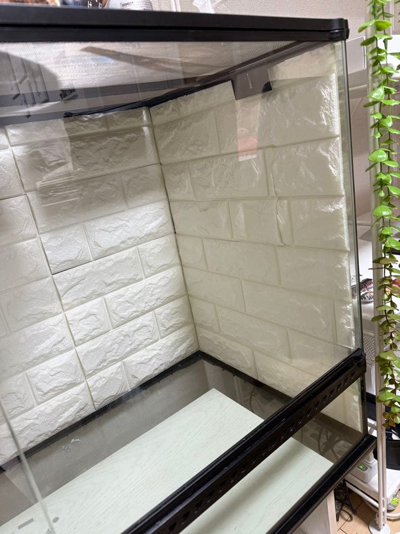 新品GEX EXOTERRA グラステラリウム9060 PT両開きフロントドア