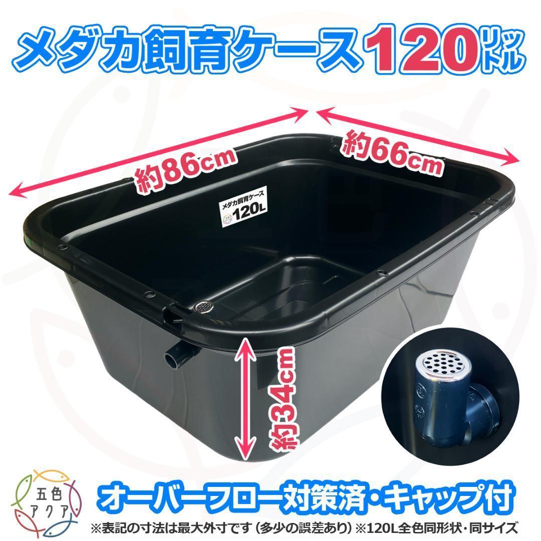 メダカ飼育ケース 120㍑x2個 黒・濃緑あり オーバーフロー 金魚飼育容器