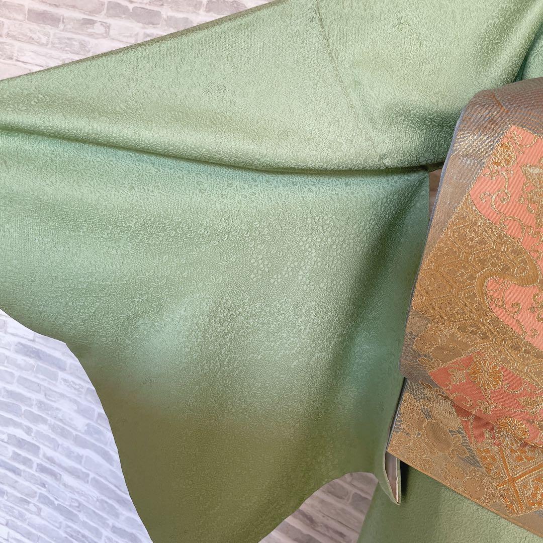 色無地　フルセット　丹後ちりめん　嵯峨野　蔓柏紋　パールトーン　地紋　H10