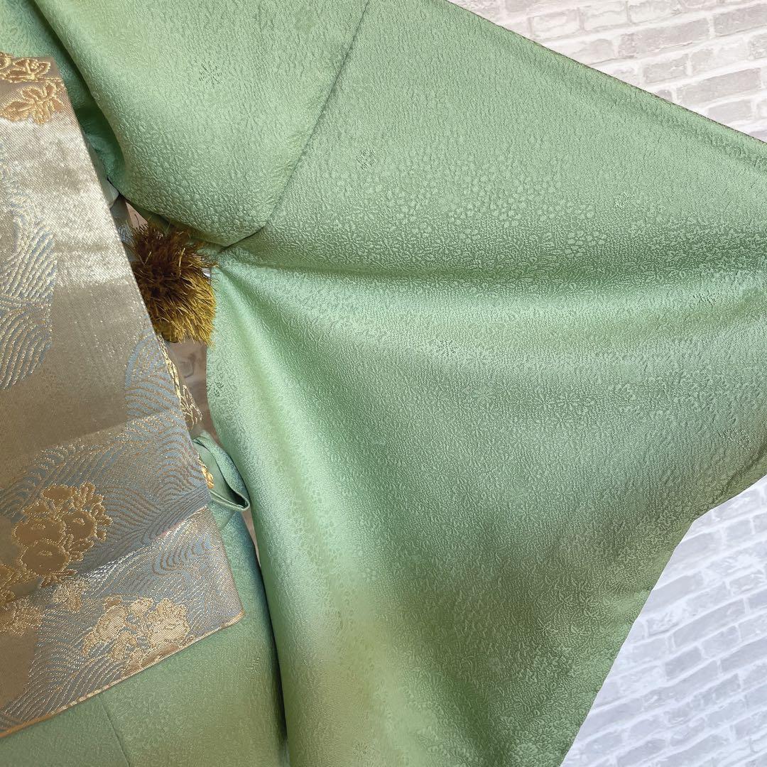 色無地　フルセット　丹後ちりめん　嵯峨野　蔓柏紋　パールトーン　地紋　H10