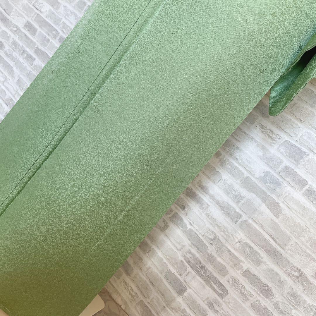 色無地　フルセット　丹後ちりめん　嵯峨野　蔓柏紋　パールトーン　地紋　H10