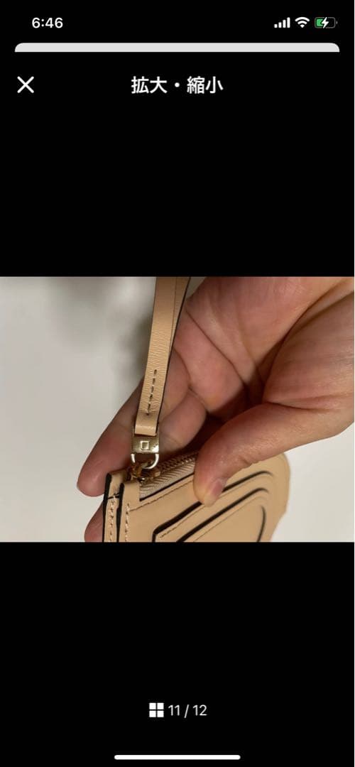 DELVAUX ベージュ ケース