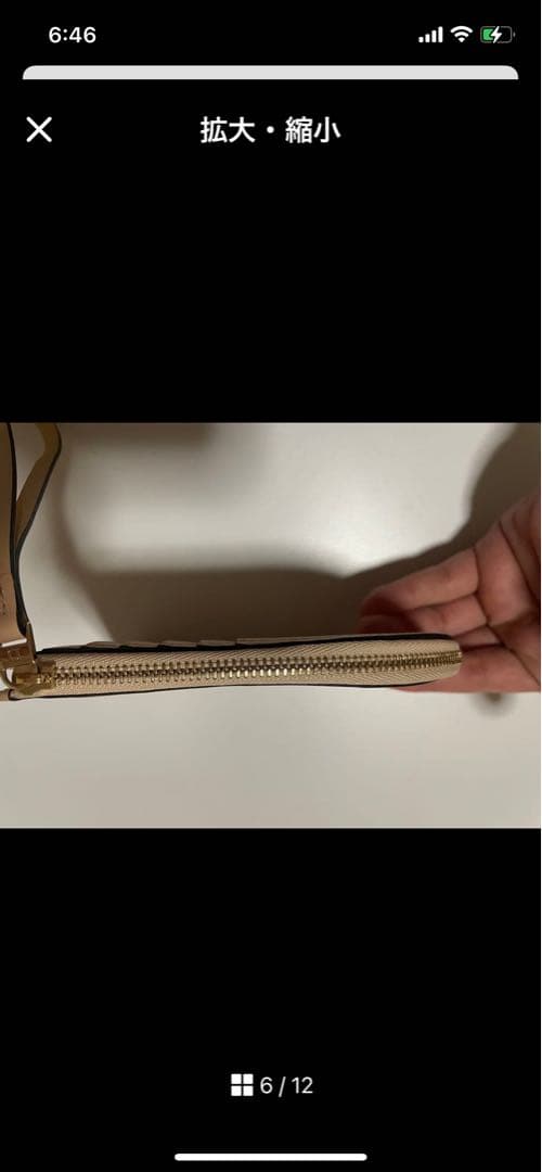 DELVAUX ベージュ ケース