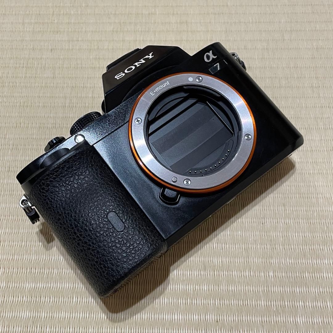 M*i様 Sony α7 ミラーレスカメラ Tamron 70-300mmレンズ