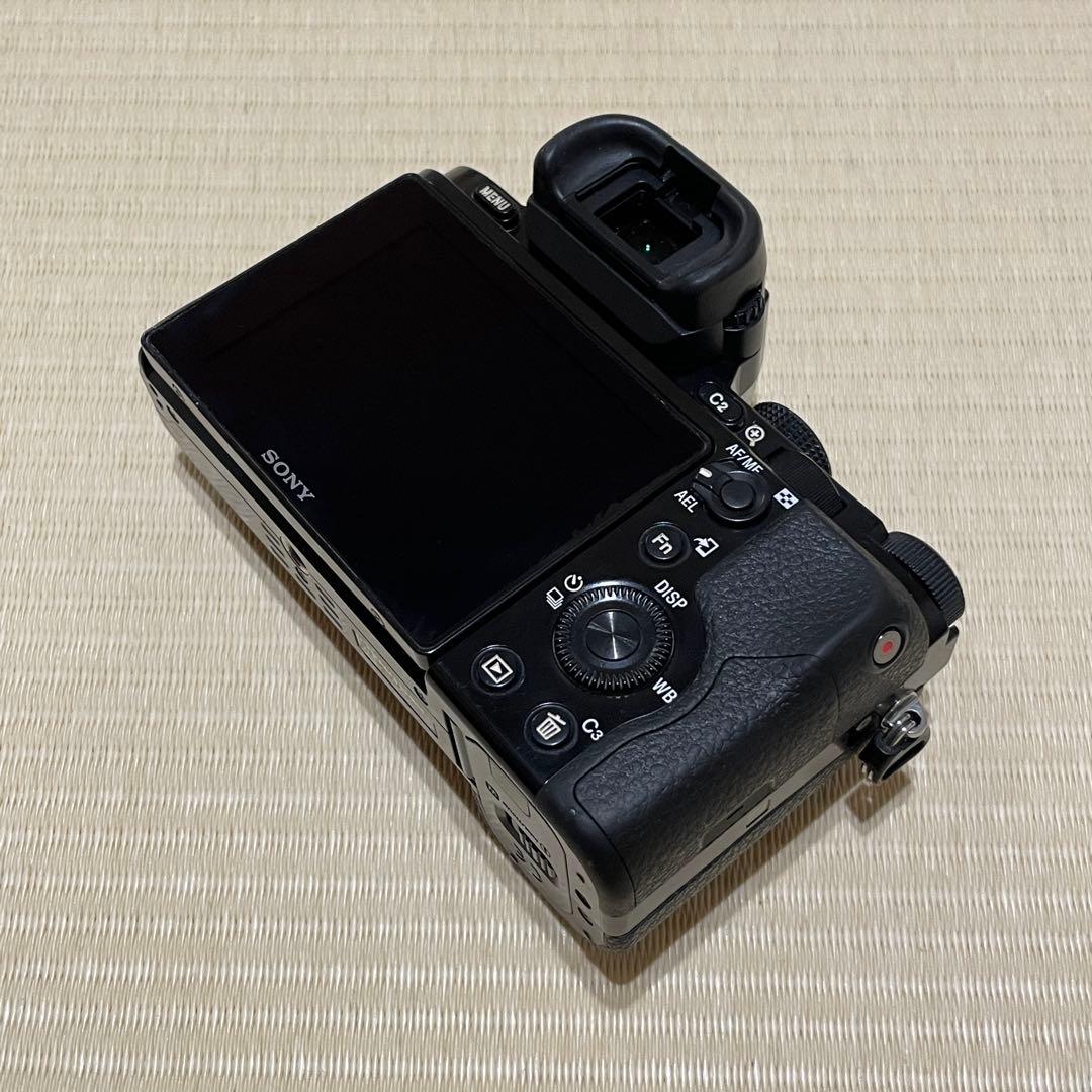 M*i様 Sony α7 ミラーレスカメラ Tamron 70-300mmレンズ