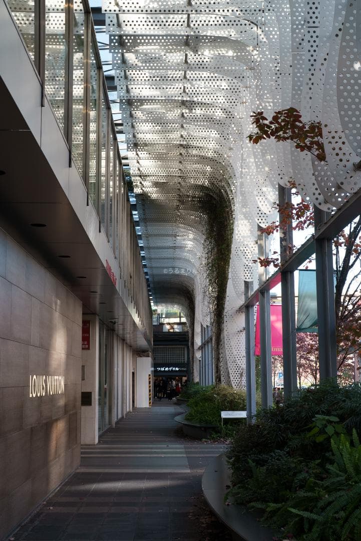 Dyz様　極美品！現代最高の50mm！SONY FE 50mm F1.2 GM