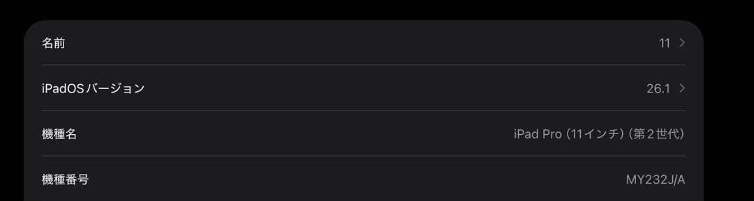 【美品】iPad Pro 11インチ 第2世代 128GB + pencil