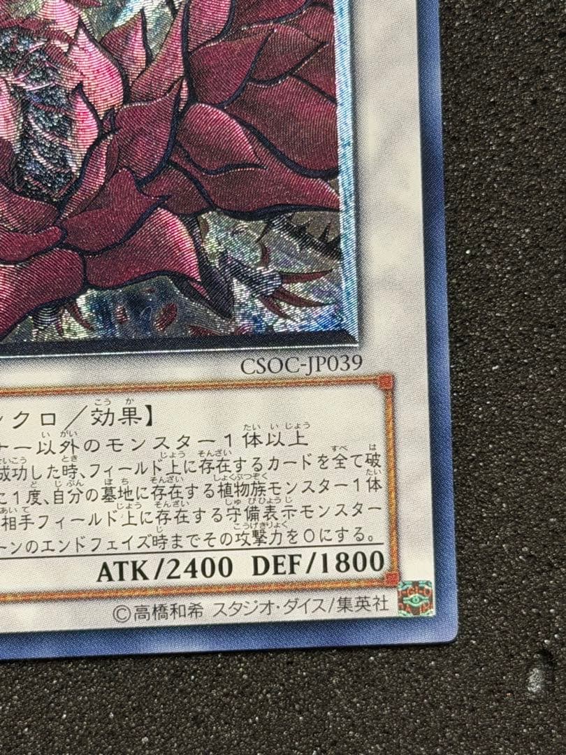 【超極美品〜完美品級】ブラックローズドラゴン レリーフ 深掘り，5つ目