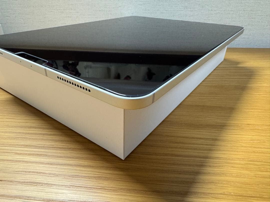 【優良個体】iPad Pro 11 第2世代 256GB セルラー SIMフリー