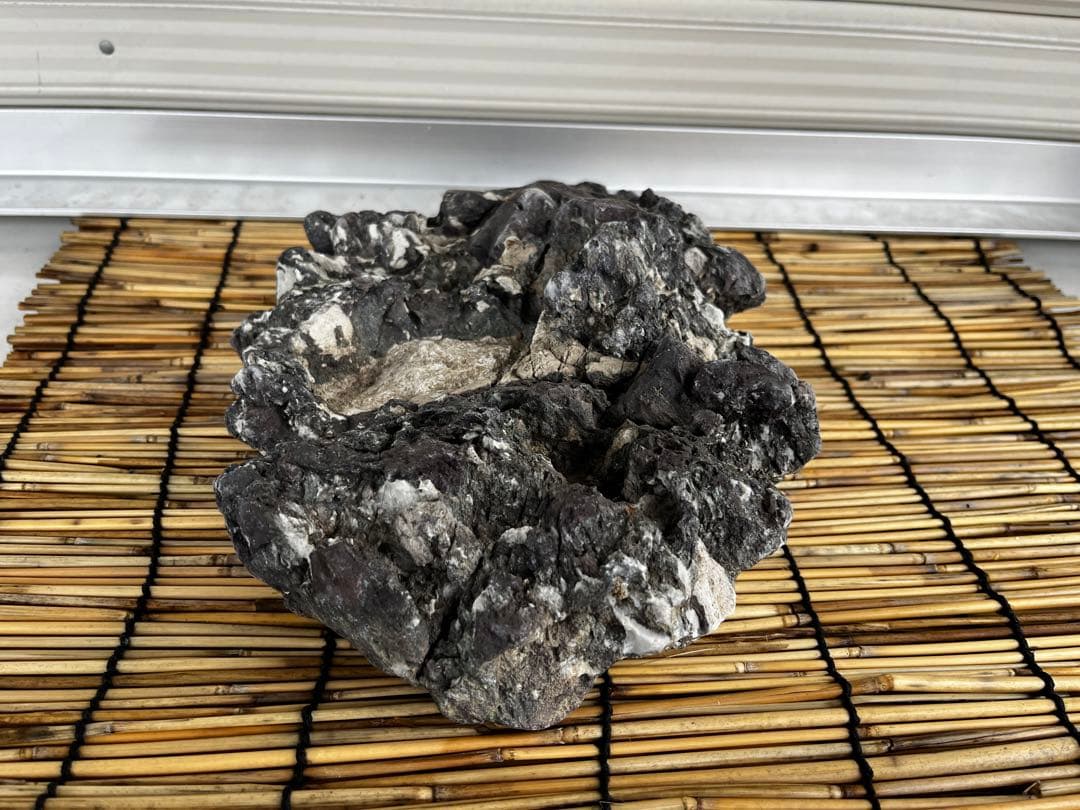 佐治石〈29〉【Taiyoメダカ】