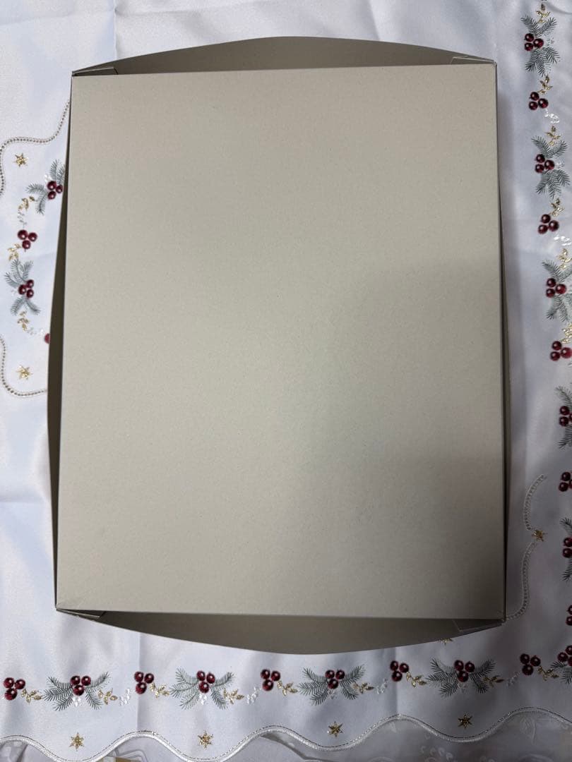 MG 1/100 プレバン限定 ジオン公国軍専用機 5点セット 【未組立】