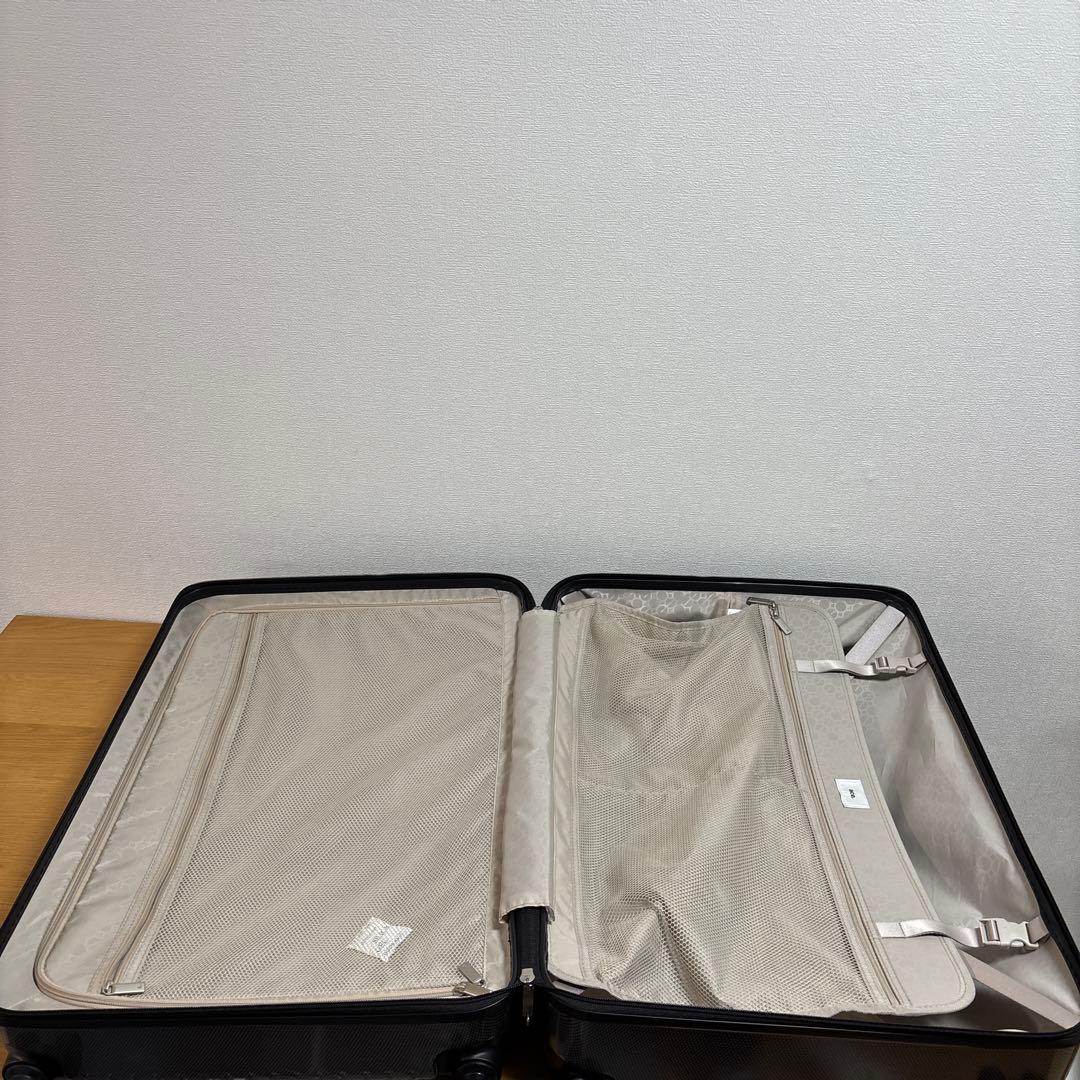 美品　ACE キャリーケース　スーツケース　74L パリセイド3Z