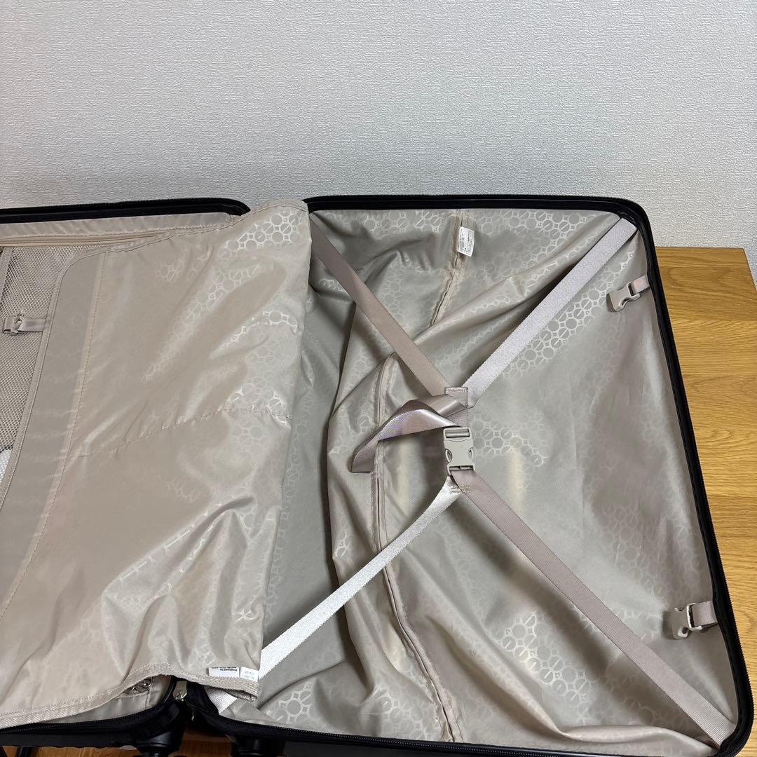 美品　ACE キャリーケース　スーツケース　74L パリセイド3Z