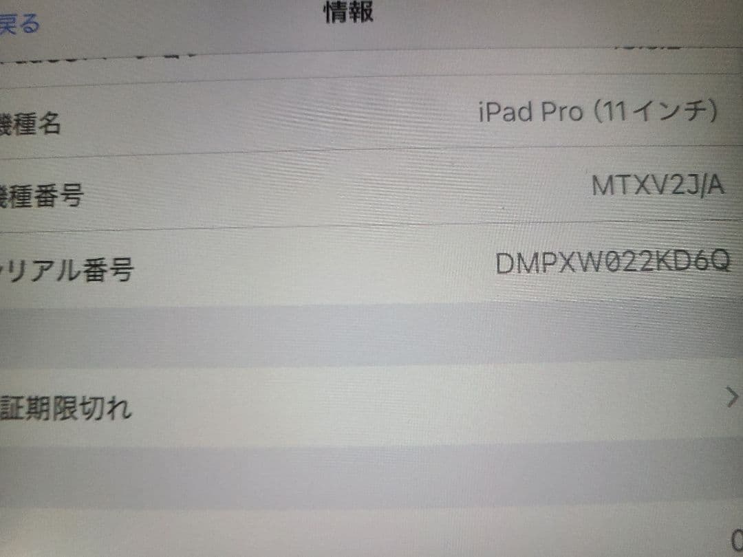 Apple iPad Pro (11インチ) 第1世代 1TB スペースグレー