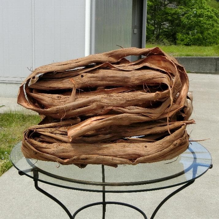 青森岩木山産 山葡萄 皮 樹皮 約2kg B品