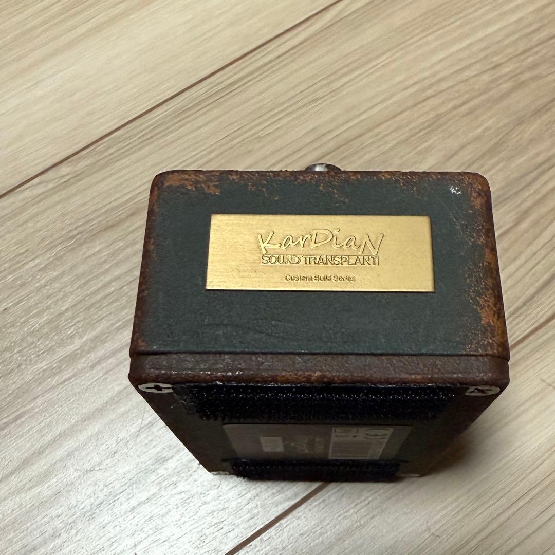 世界限定100台】kardian vitamin c army green