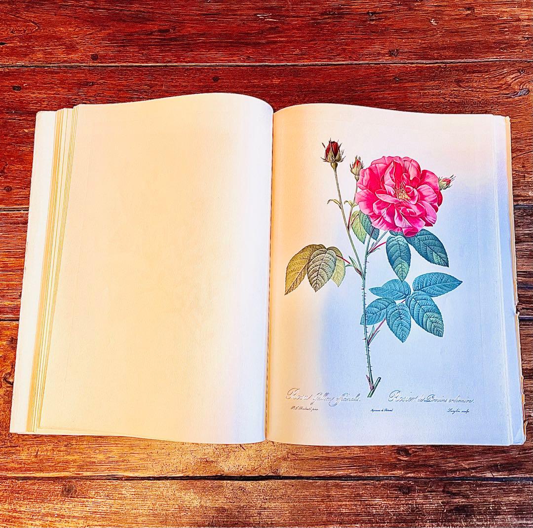 超希少！50年代洋書 ピエール ジョゼフルドゥーテ アンティーク薔薇画集
