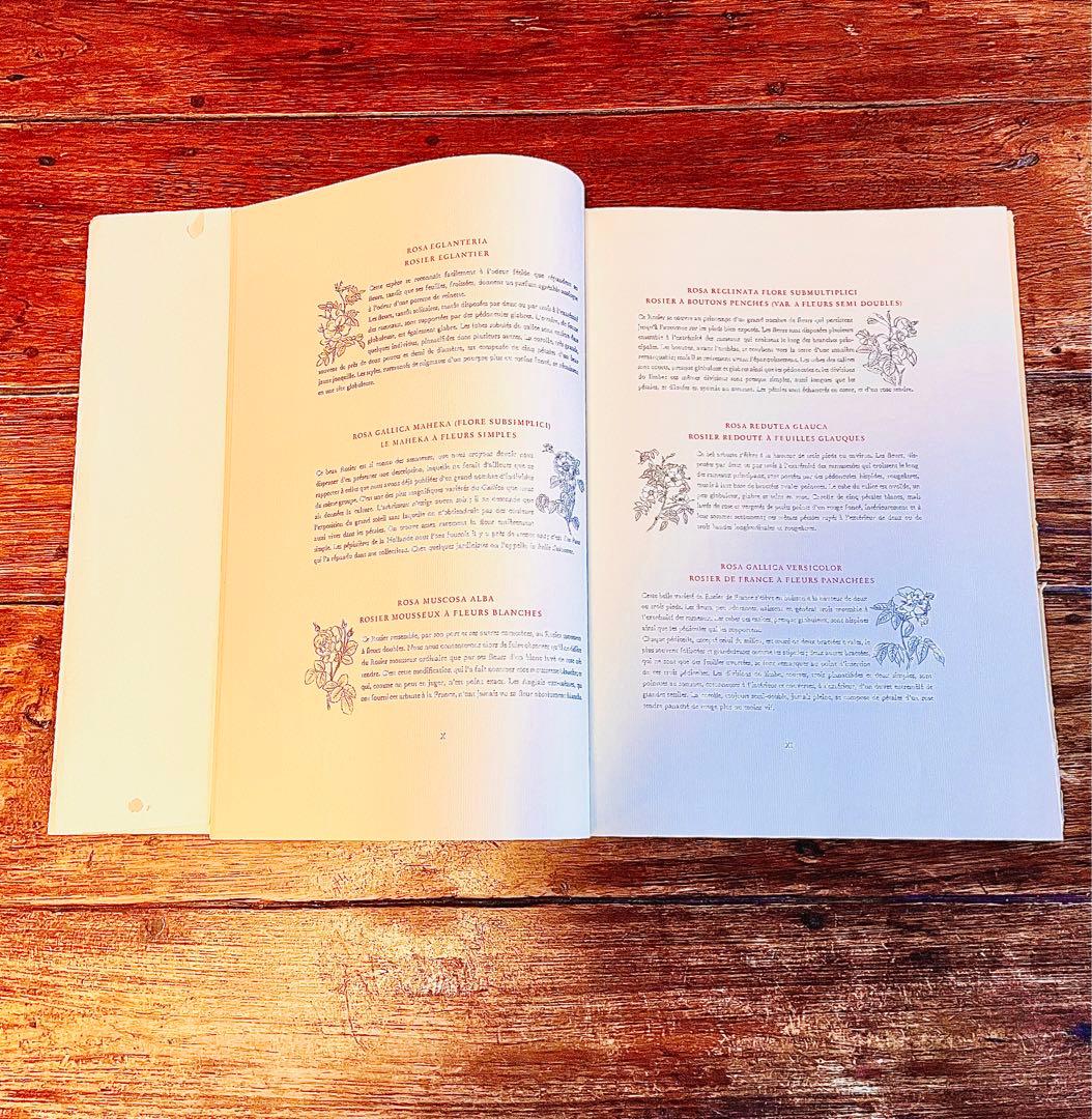 超希少！50年代洋書 ピエール ジョゼフルドゥーテ アンティーク薔薇画集