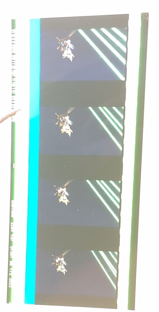 ガンダムseed freedom フィルム　3フィルム連続　ライジングフリーダム