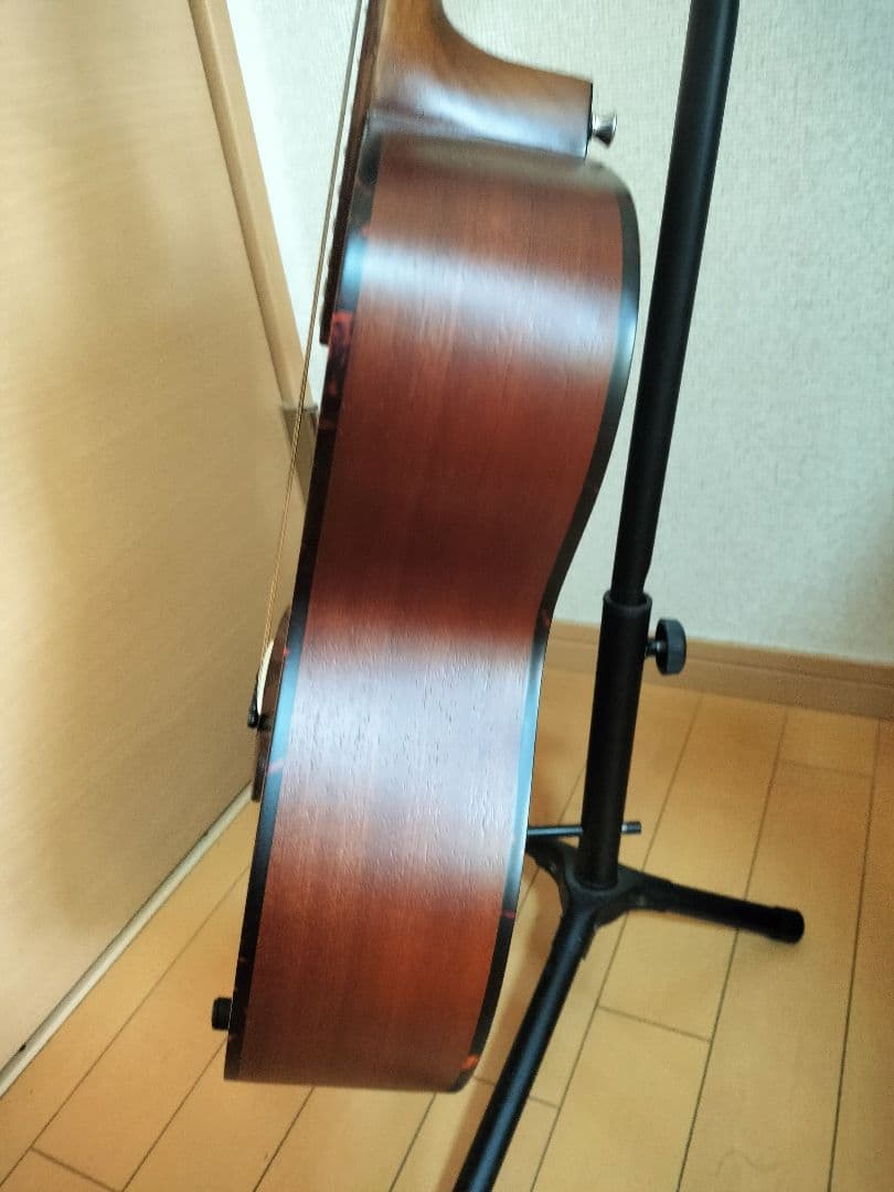 ギター Zemaitis CAM-80H Natural