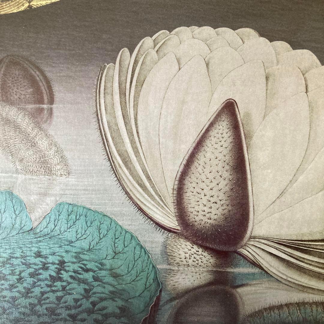 杉本博司　アートポスター