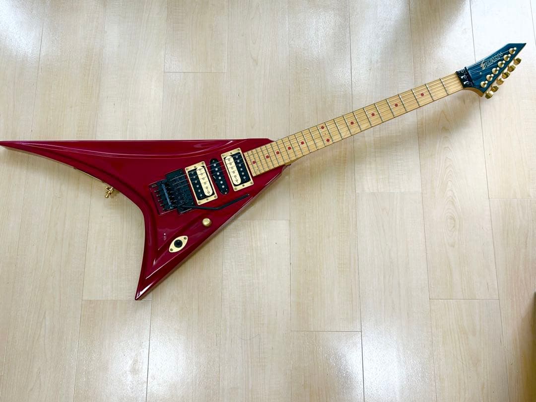 EDWARDS E-PV-143 PANTHERモデル ソフトケース付属