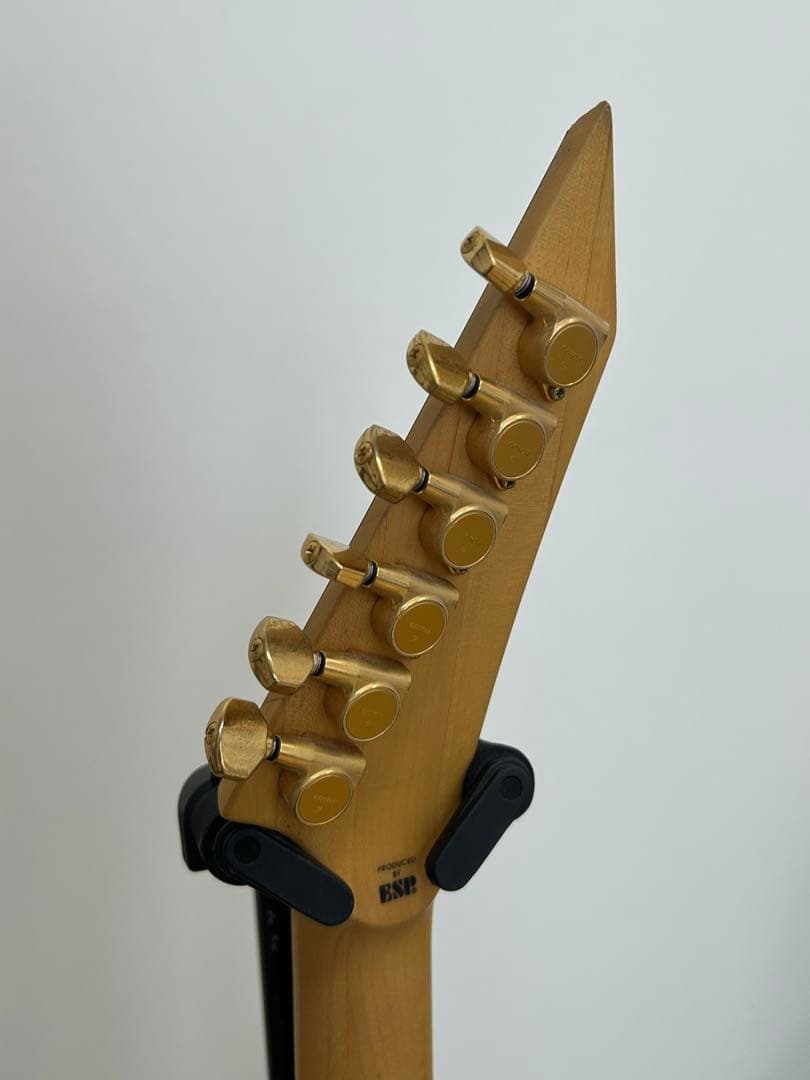 EDWARDS E-PV-143 PANTHERモデル ソフトケース付属